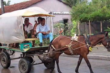 horse drawn taxi