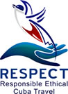 Respect Logo Two Lines